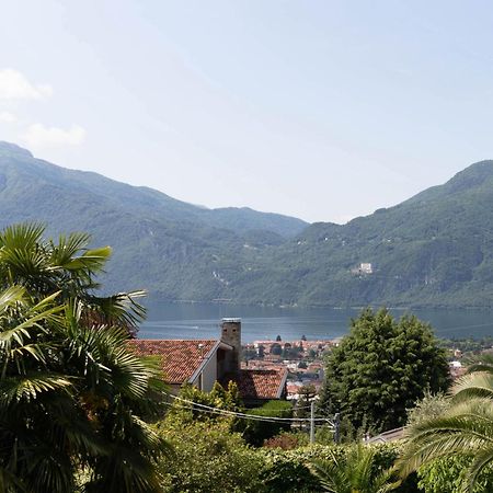 Mamma Ciccia Holiday Home - Mountains & Lake Mandello del Lario Buitenkant foto