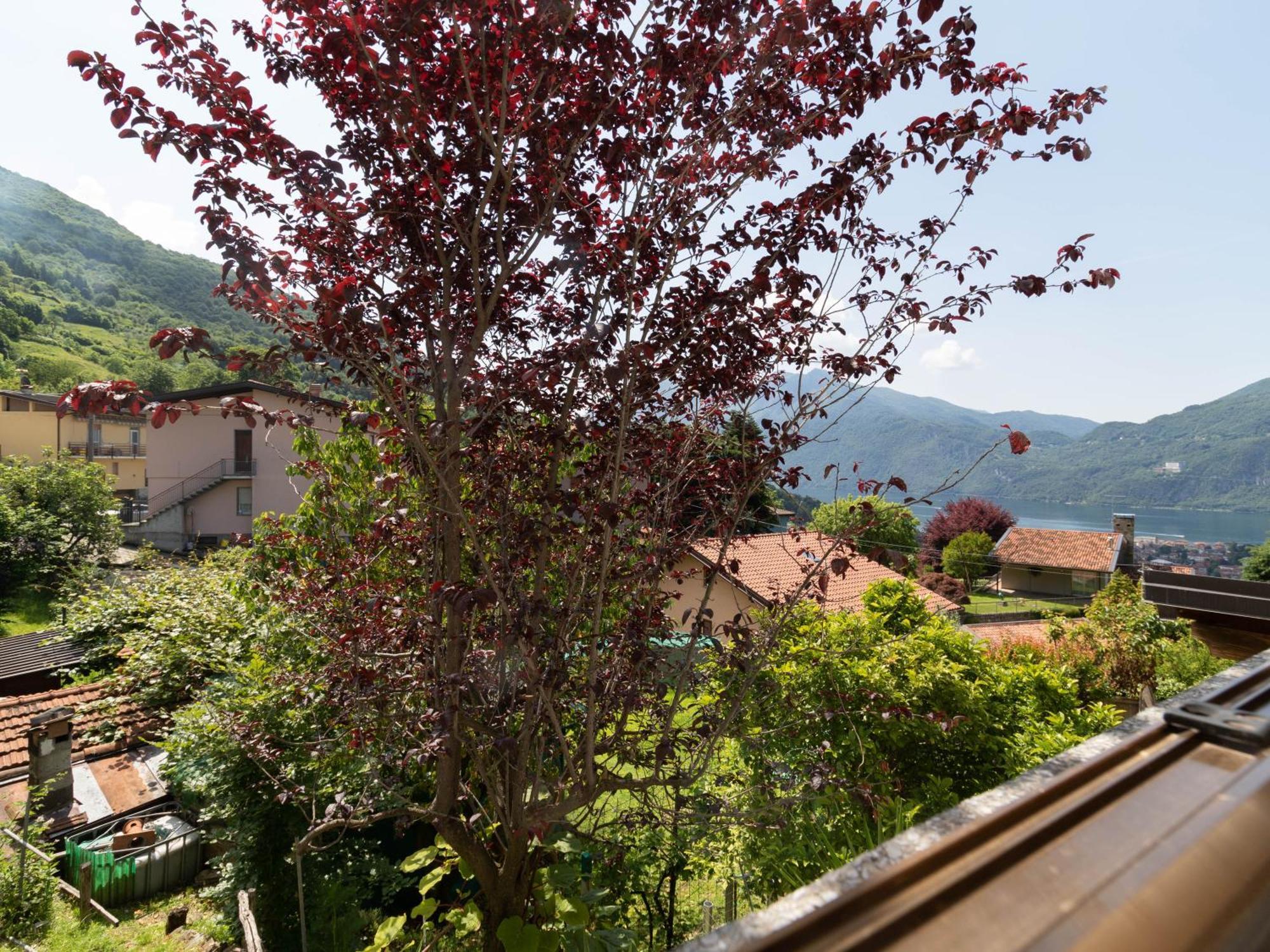 Mamma Ciccia Holiday Home - Mountains & Lake Mandello del Lario Buitenkant foto